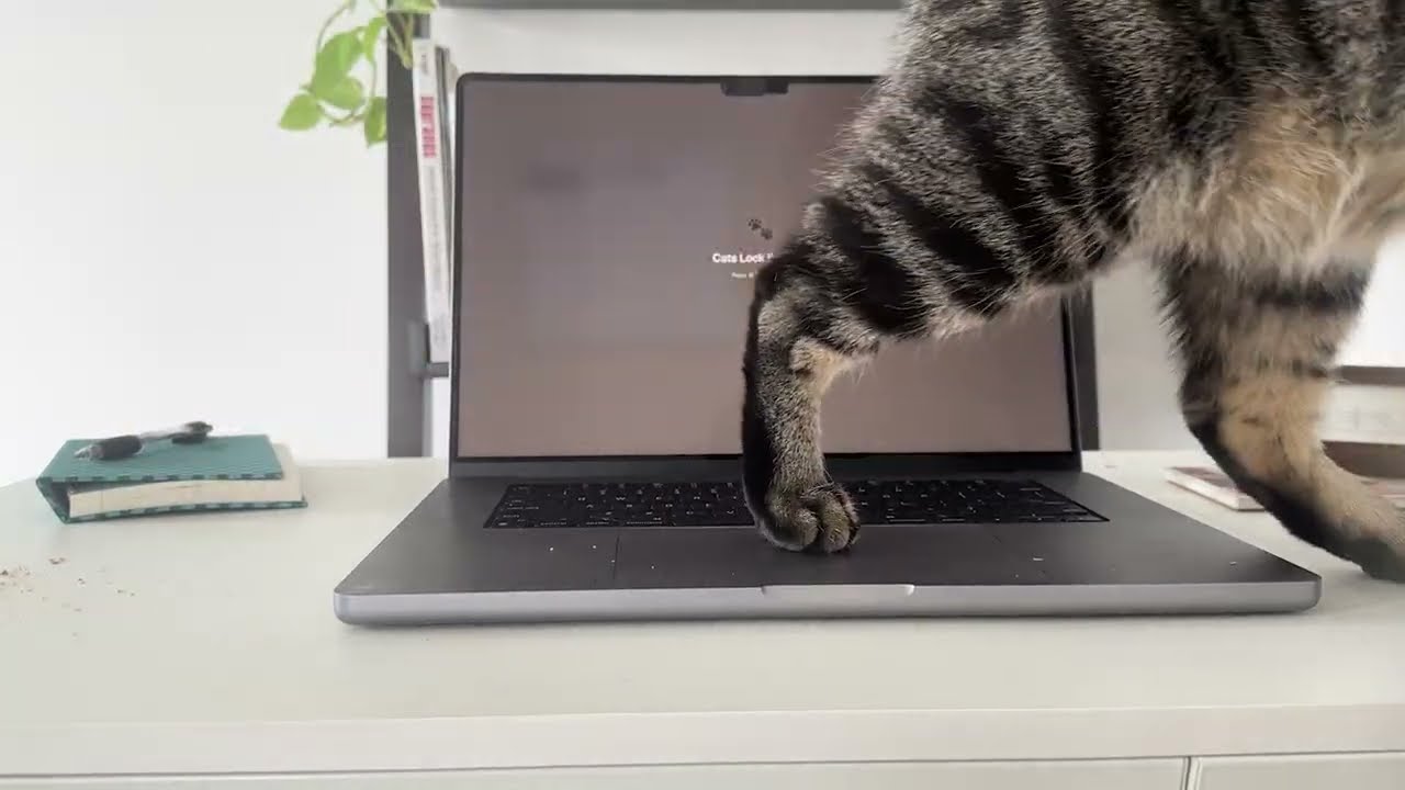 Cats Lock